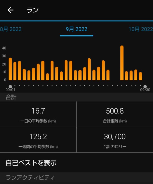f:id:ooguins:20221008072529j:image