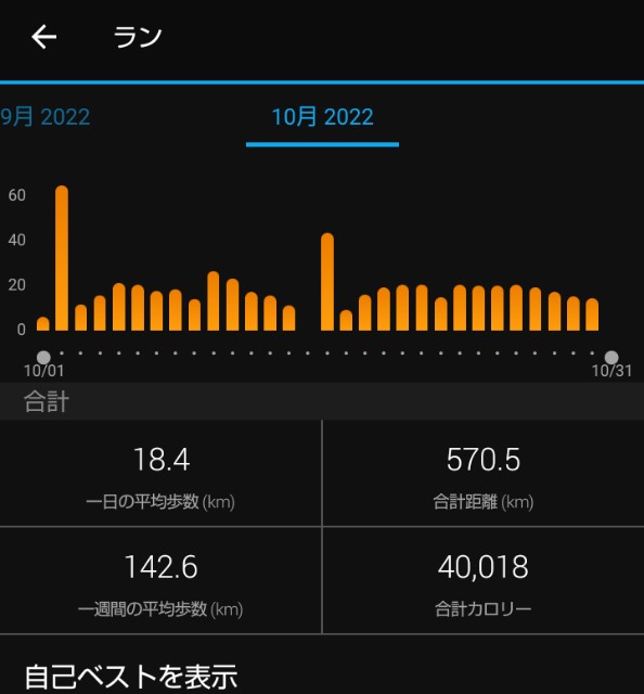 f:id:ooguins:20221031210448j:image