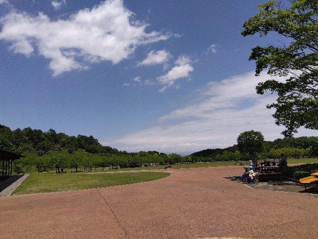 f:id:ooguins:20230604143107j:image f:id:ooguins:20230604143107j:image