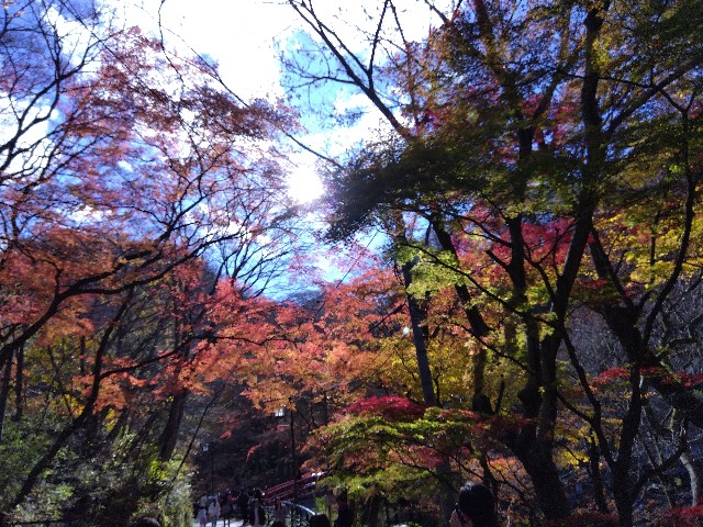 f:id:ooguins:20231124175103j:image