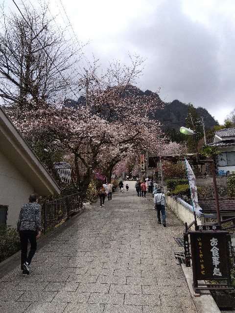 f:id:ooguins:20240410045348j:image
