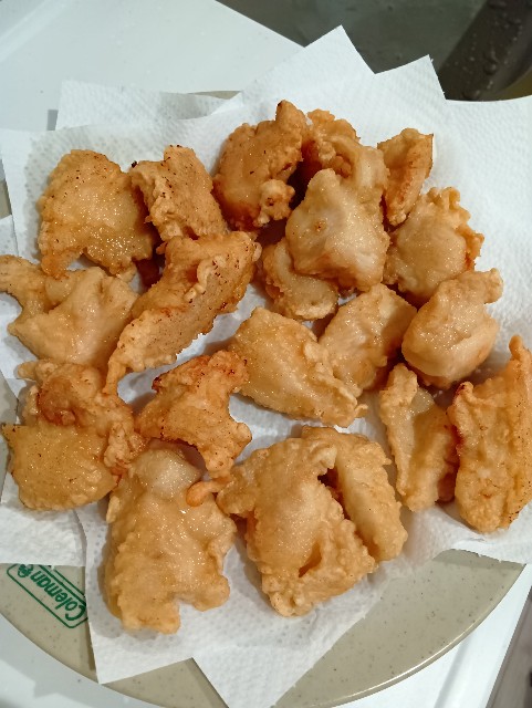 f:id:ooguins:20251114054825j:image f:id:ooguins:20251114054825j:image