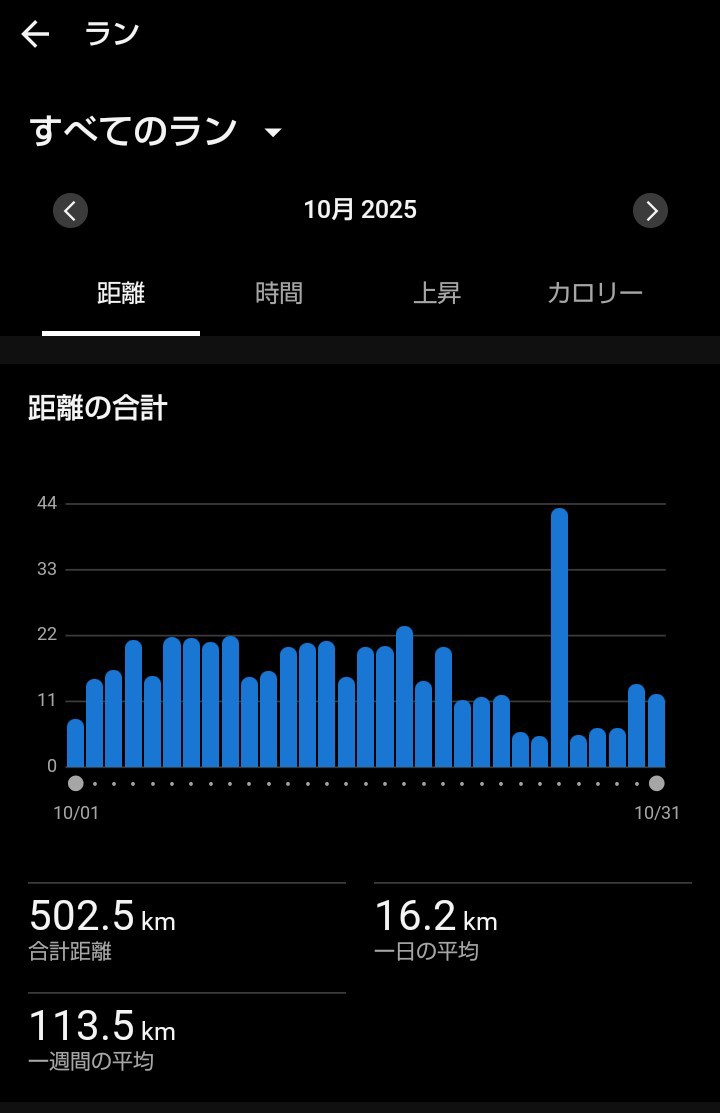 f:id:ooguins:20251122211251j:image