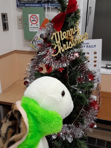大口通商店街クリスマスツリー
