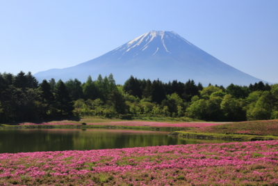 f:id:oohashi1122:20160513080045j:image
