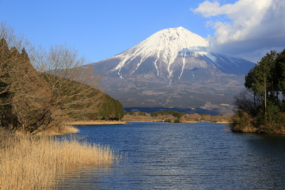 f:id:oohashi1122:20170310155506j:image