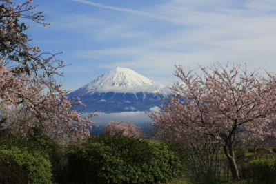 f:id:oohashi1122:20170412082129j:image