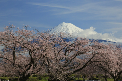 f:id:oohashi1122:20170412082645j:image