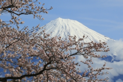 f:id:oohashi1122:20170412083424j:image