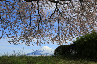 f:id:oohashi1122:20170412083701j:image