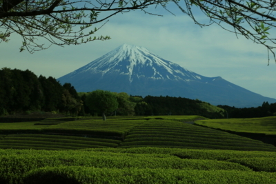 f:id:oohashi1122:20170503070503j:image