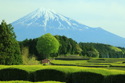 f:id:oohashi1122:20170503071233j:image