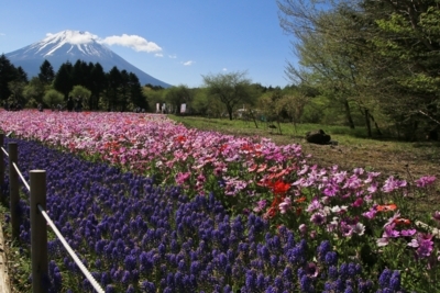 f:id:oohashi1122:20170511083202j:image