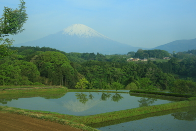 f:id:oohashi1122:20170512055159j:image