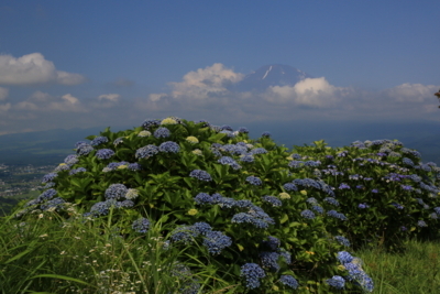 f:id:oohashi1122:20170720085232j:image