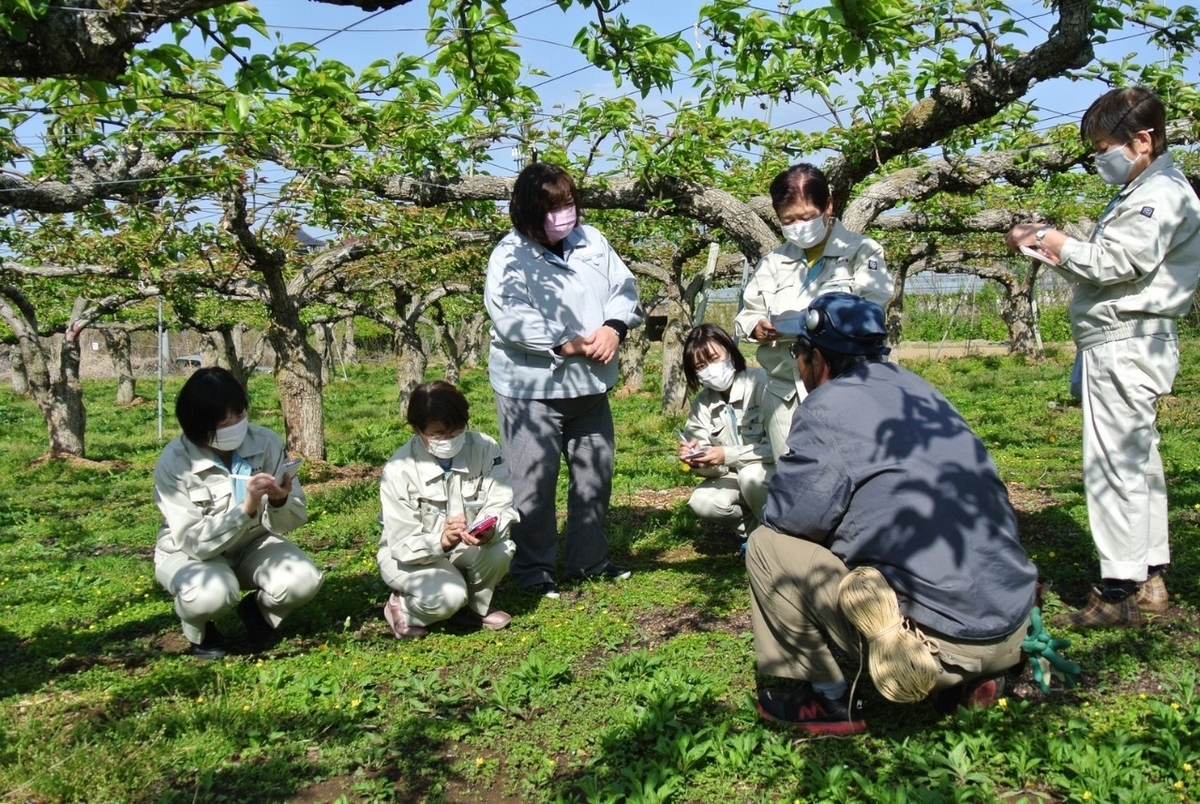 f:id:oohashisaori:20210507180125j:plain