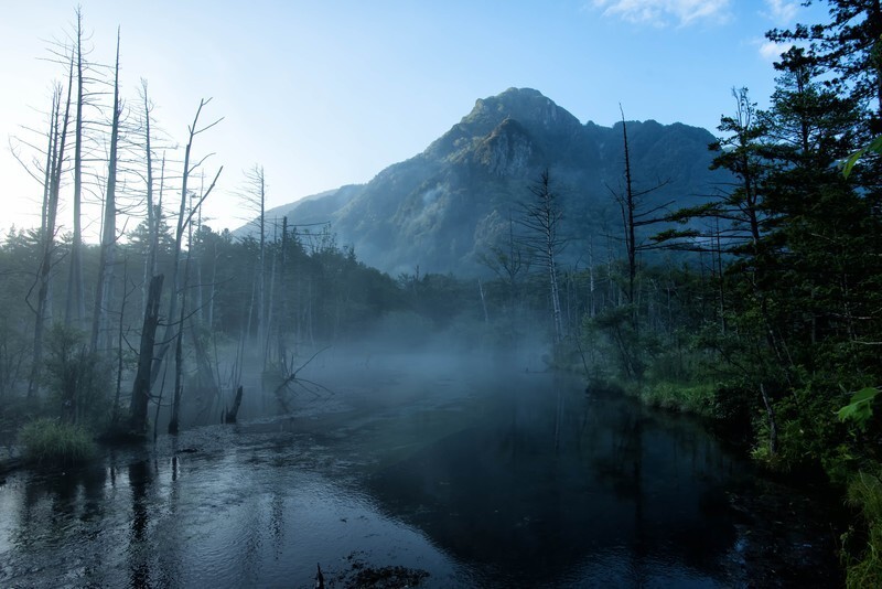 f:id:ooinunohuguri:20200107115250j:plain f:id:ooinunohuguri:20200107115250j:plain