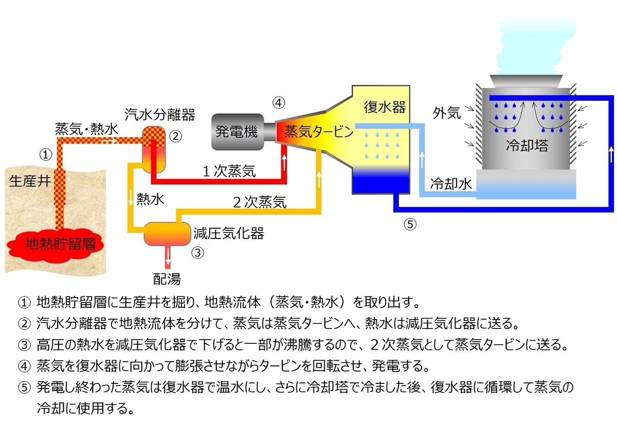 f:id:ooinunohuguri:20200514144622j:plain f:id:ooinunohuguri:20200514144622j:plain