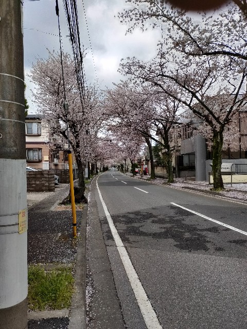 f:id:ooishisan:20220414065640j:image f:id:ooishisan:20220414065640j:image