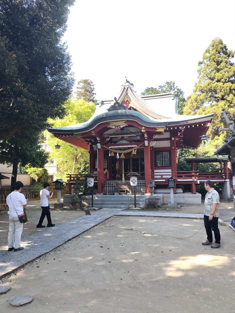 f:id:ooishisan:20260418162033j:image f:id:ooishisan:20260418162033j:image