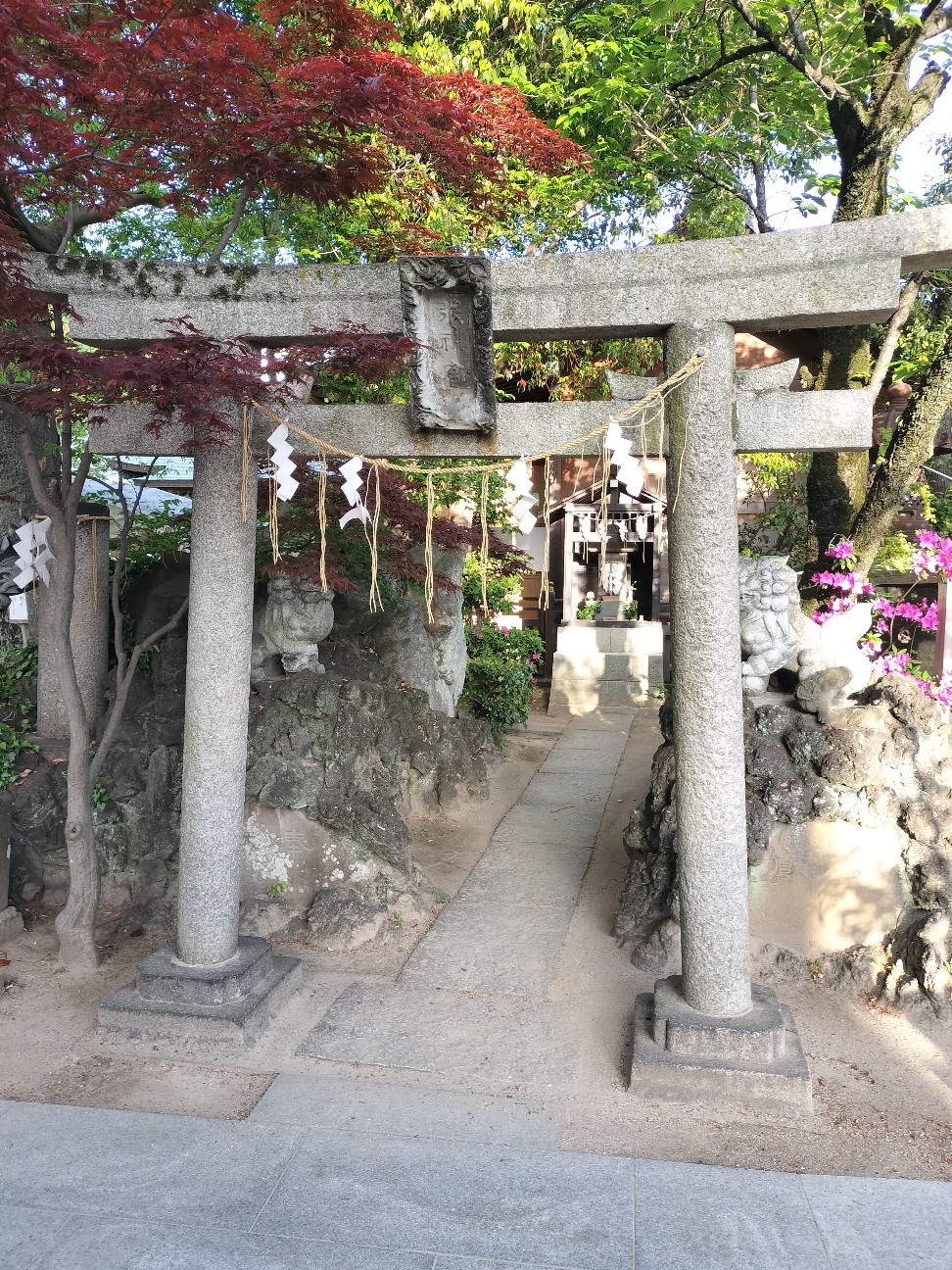 f:id:ooishisan:20260420163004j:image f:id:ooishisan:20260420163004j:image
