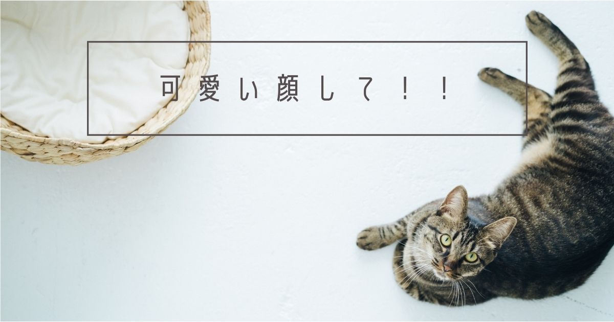 f:id:ookimachi:20210727211341j:plain