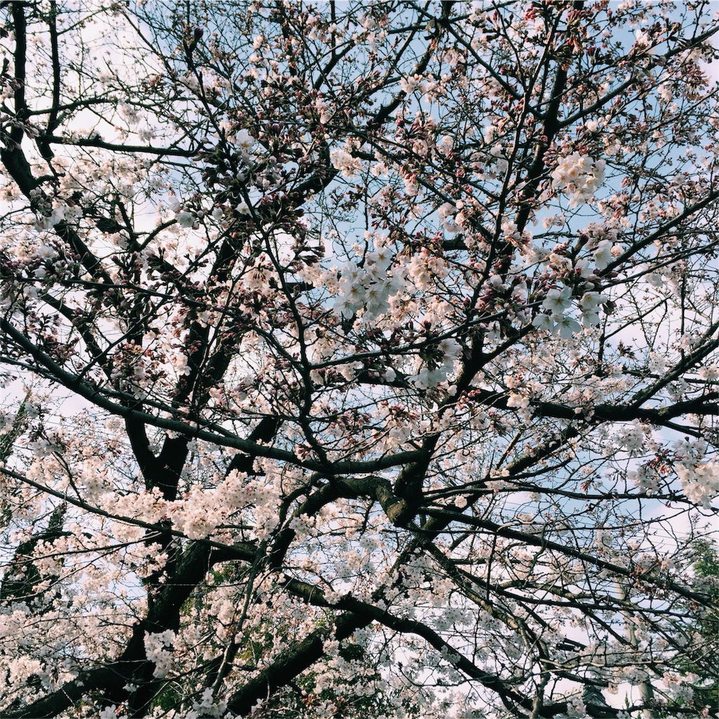 f:id:ookiminori:20160402052632j:image f:id:ookiminori:20160402052632j:image