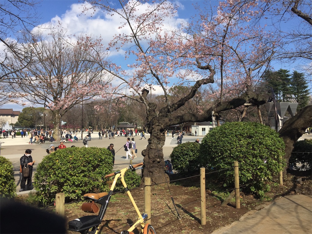 f:id:ookina_suika:20200316094513j:image f:id:ookina_suika:20200316094513j:image