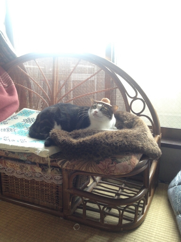 イメージ 1