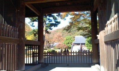 イメージ 3