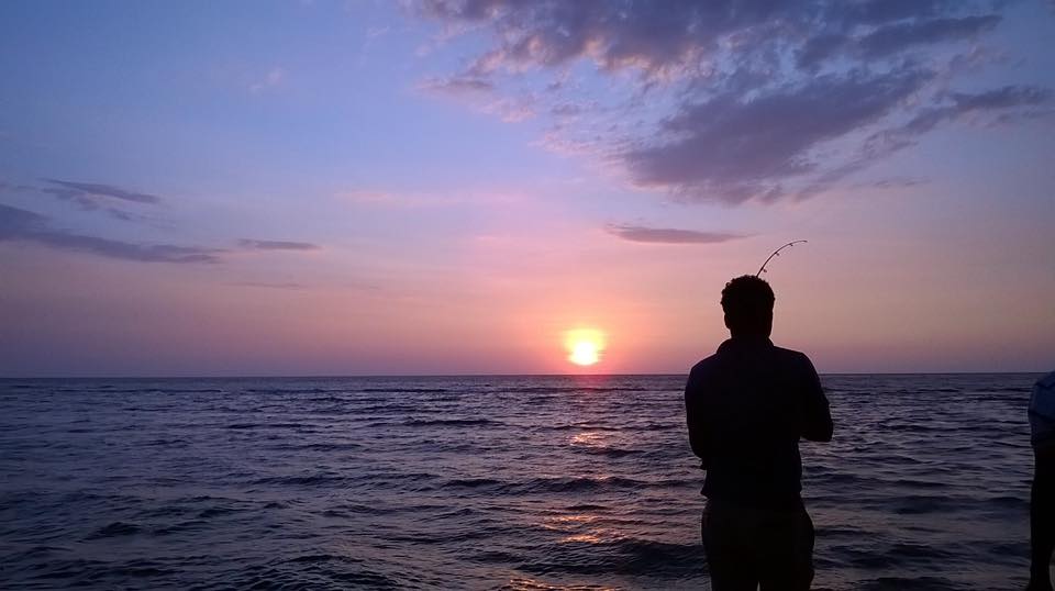 f:id:ookumaneko127:20201230161741j:plain