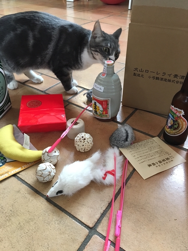イメージ 5