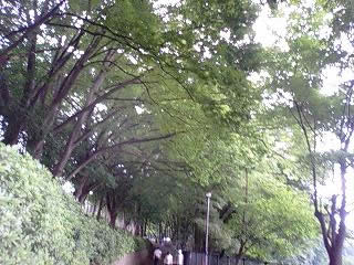 イメージ 2
