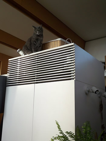 イメージ 3