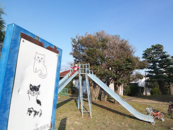 イメージ 4