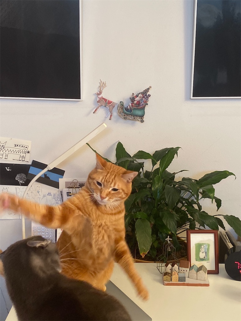 f:id:ookusasann:20191218014801j:image