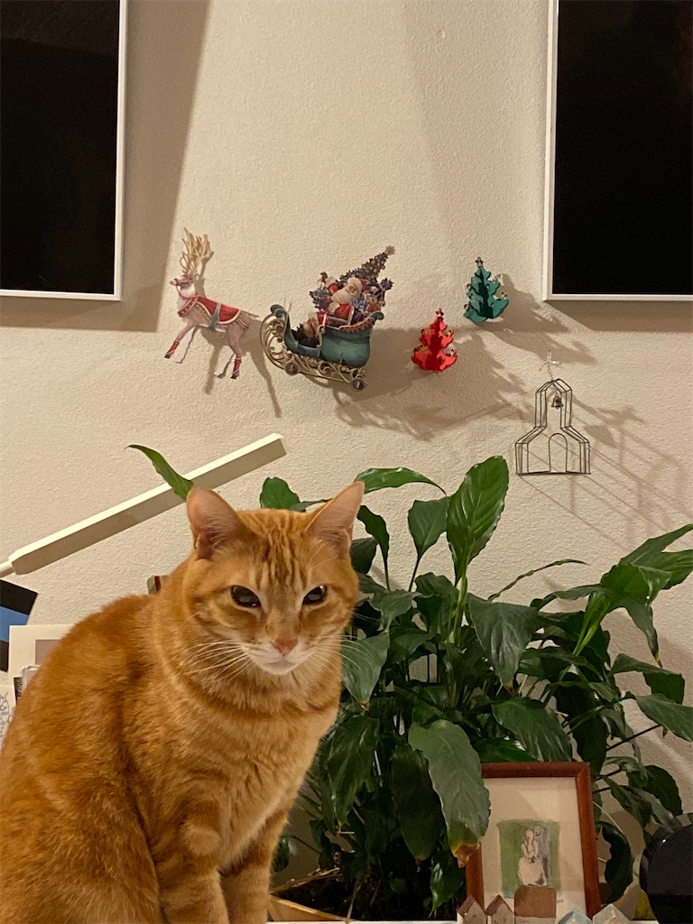 f:id:ookusasann:20191218014919j:image