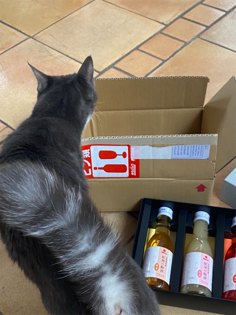 f:id:ookusasann:20220308125441j:image