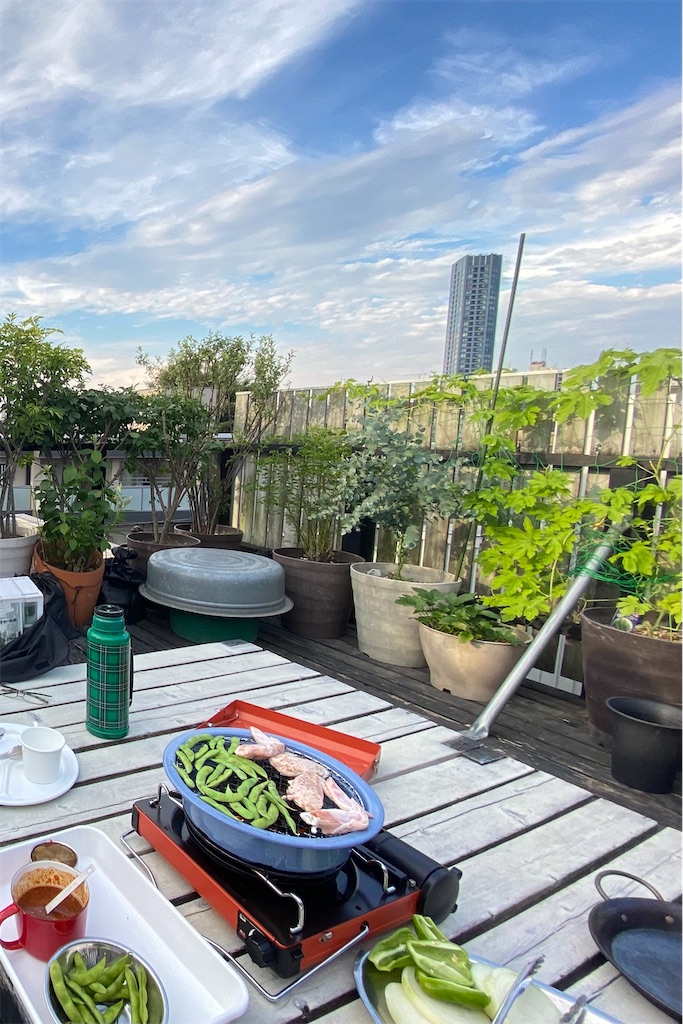 f:id:ookusasann:20230815123001j:image