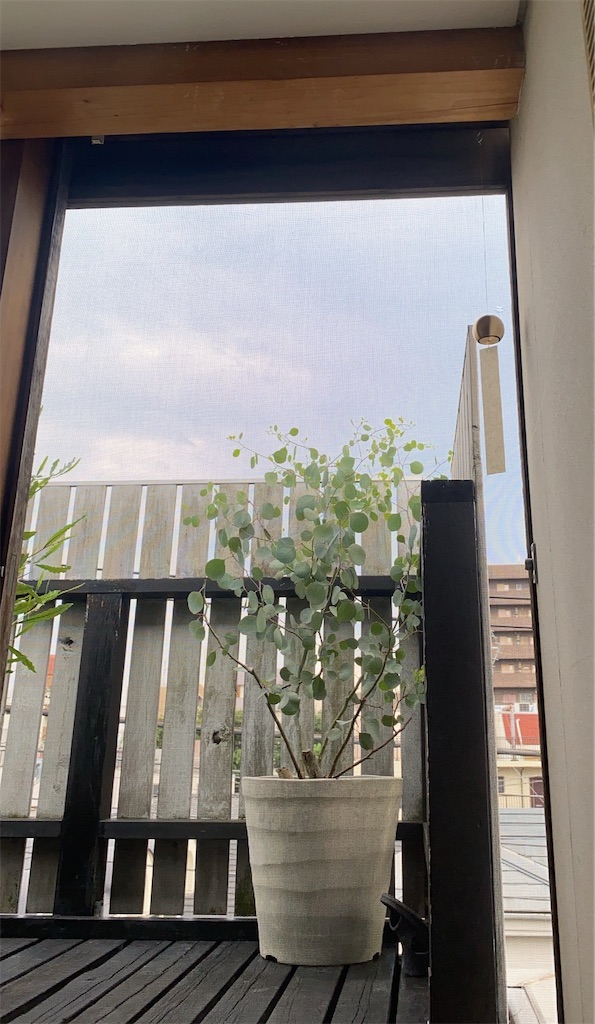 f:id:ookusasann:20240704185940j:image