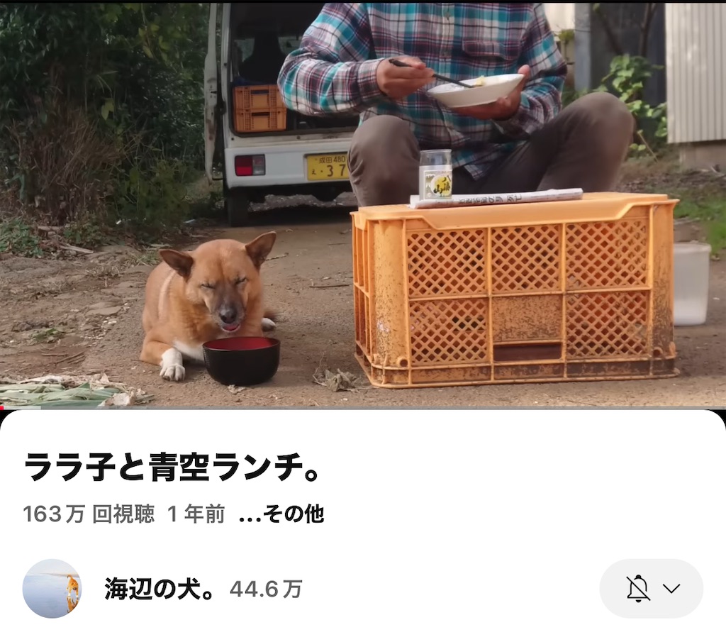 f:id:ookusasann:20250327114356j:image