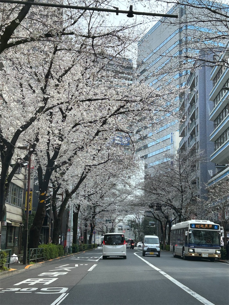 f:id:ookusasann:20250327170301j:image