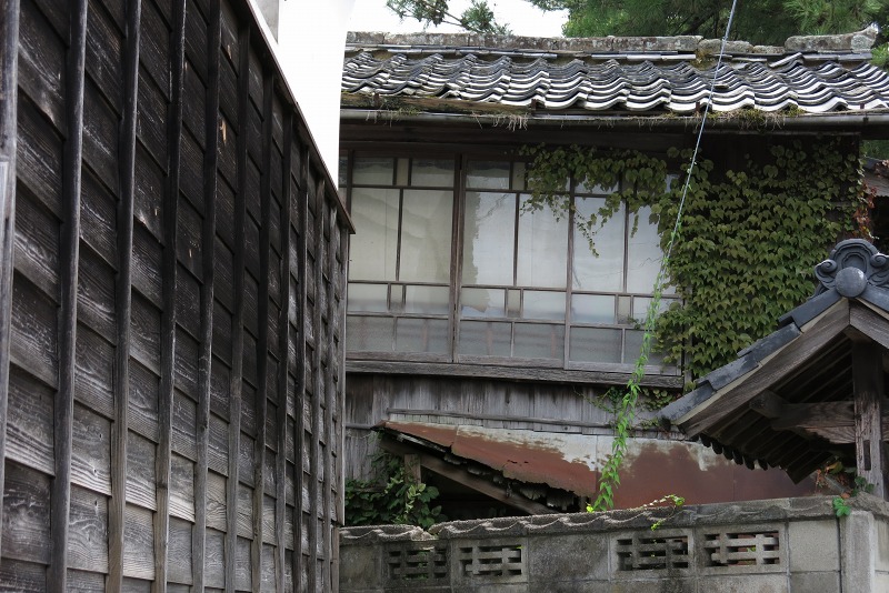 f:id:oolongchai1211:20211112232937j:plain