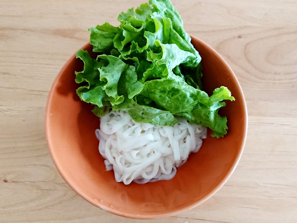 こんにゃくでてきたうどん