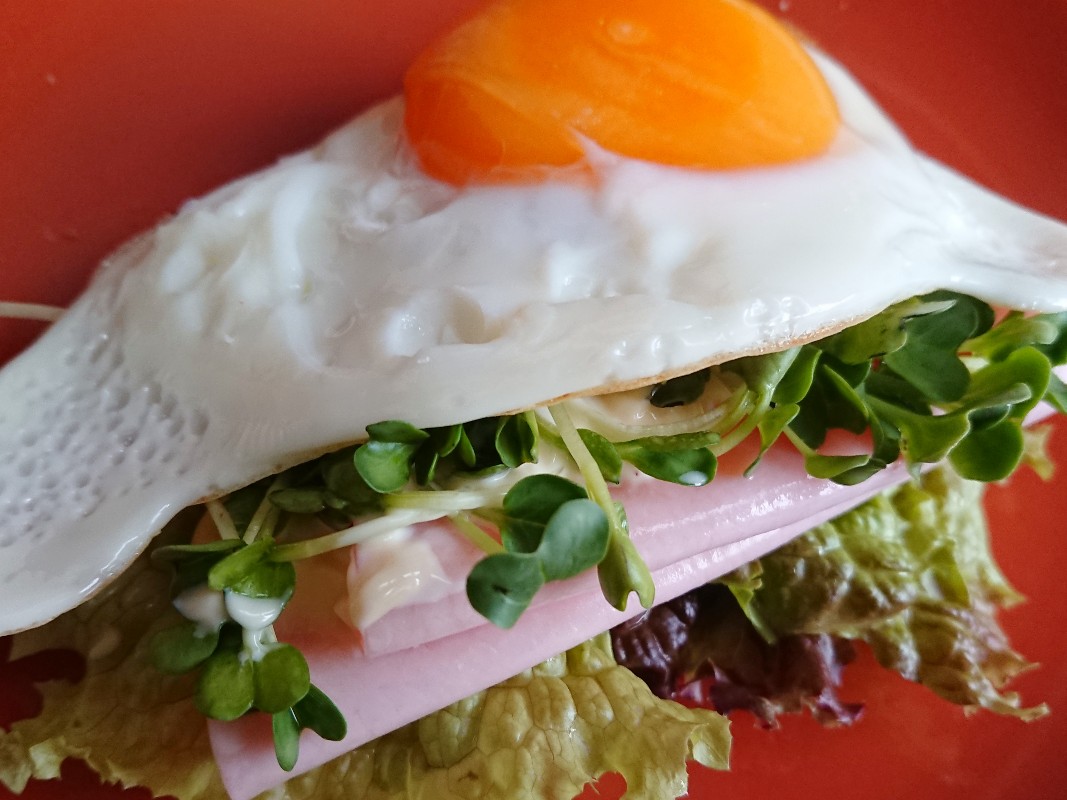 f:id:oomametomame:20190720162302j:plain ハムと目玉焼きサンドイッチ