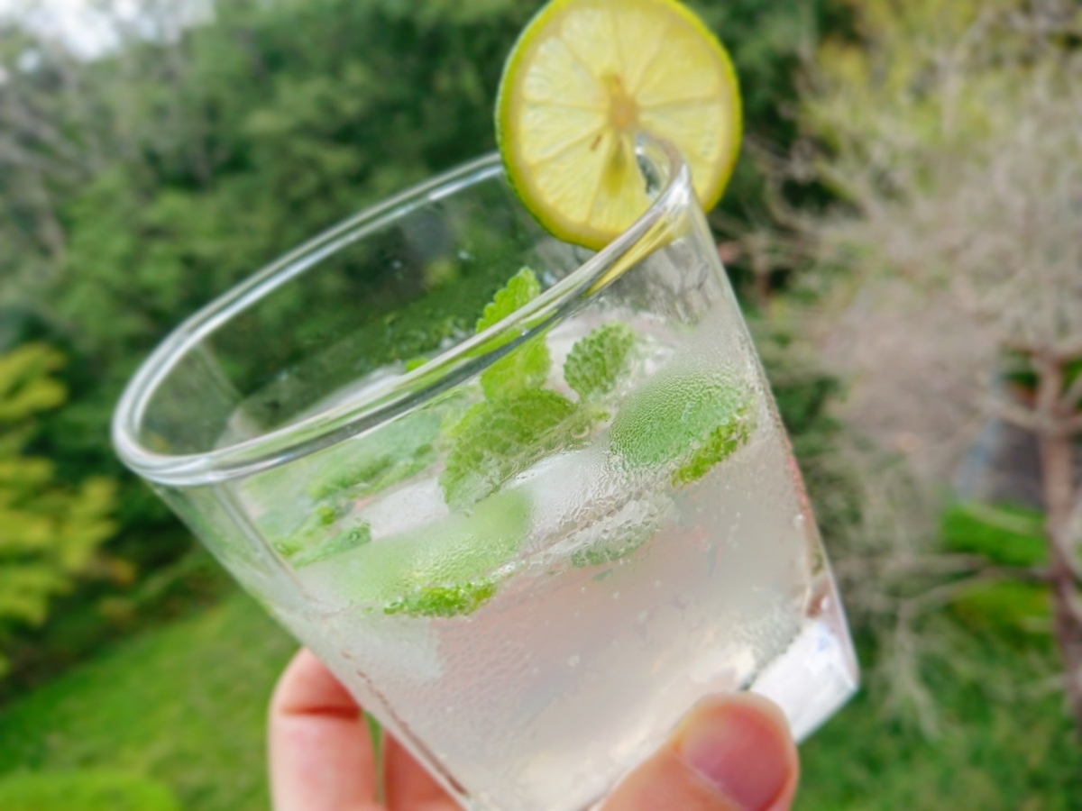 f:id:oomametomame:20190919133705j:plain すだちサイダー