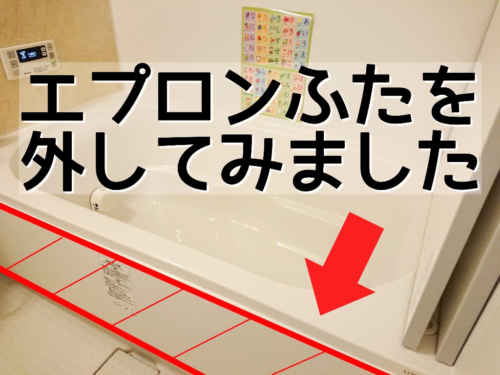 お風呂のエプロンふた外してみました