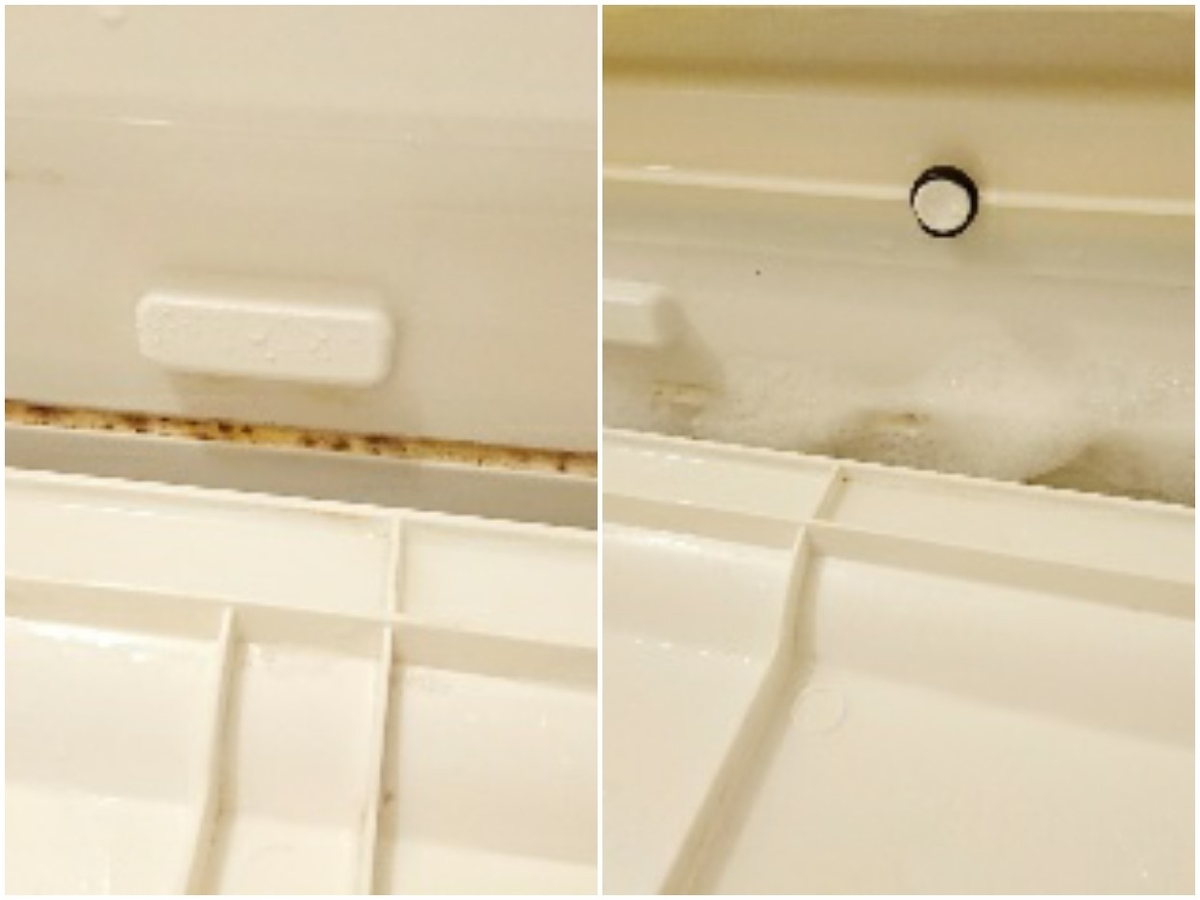 こびりついたカビ