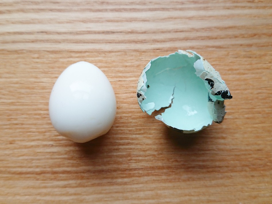 f:id:oomametomame:20200126225629j:plain 綺麗に殻がむけたうずらの卵