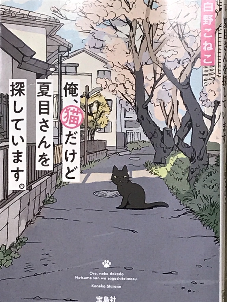 f:id:oomori662:20190628003241j:image